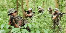 पेट्रोलिंग के दौरान हुई झड़प, नागालैंड के जंगल में भिड़े असम राइफल्स- नगा विद्रोही