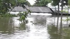 असम में बाढ़ का कहर जारी, तीन और लोगों की मौत, मृतक संख्या 66 हुई
