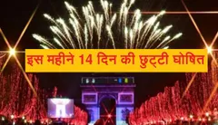 नए साल पर सरकार का बड़ा तोहफा, इस महीने 14 दिन की छुट्टी घोषित