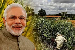 बिहार में प्रधानमंत्री किसान सम्मान निधि योजना में फर्जीवाड़े का खुलासा