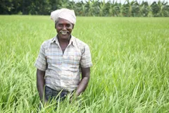 3000 फर्जी किसान उठा रहे थे PM Kisan Yojana का लाभ, अब होगी वसूली



