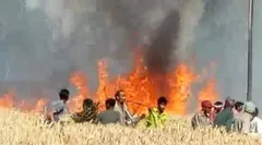 700 किसानों के खेत में लगी आग, चंद मिनटों में राख हो गई मेहनत 
