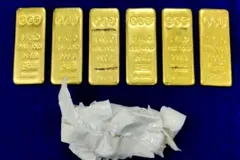 हवाई जहाज में ऐसी जगह छुपा लाए 6 किलो सोना, कस्टम वाले भी रह गए हैरान
