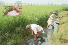 मेघालय के करीब 29 लाख किसानों में से 8,967 को PM किसान योजना का लाभ, कांग्रेसी सांसद ने दी जानकारी



