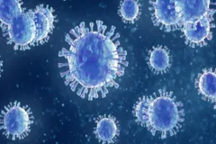 वैज्ञानिकों ने पता कर लिया दुनिया में फैले Coronavirus का वजन, जानिए कितने किलोग्राम है