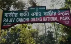 असम सरकार का बड़ा फैसला, ओरंग नेशनल पार्क से हटाया राजीव गांधी का नाम, कांग्रेस को लगी 'मिर्ची'



