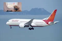 शख्स ने कुत्ते के लिए बुक कराया एयर इंडिया का हवाई जहाज, दोनों ने बिजनेस क्लास में किया सफर
