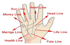  ये हाथ की लकीरें बताती हैं किस क्षेत्र में मिलेगी Success, देखें अपनी हथेली की रेखाएं 