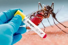 दिल्ली में वायरल बुखार का आतंक , डेंगू और मलेरिया का हमला,  NCR में डेंगू के रिकॉर्डतोड़ मरीज