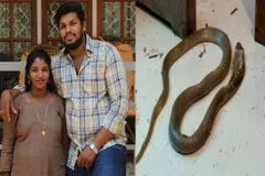 दहेज के लालच में पति ने पत्‍नी को कोबरा सांप से डसवाकर मारा, अब मिलेगी ऐसी खौफनाक सजा