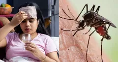 त्रिपुरा के ग्रामीण इलाकों में डेंगू का कहर, मरीजों की संख्या 255 हुई, एक्शन में आई सरकार