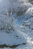 Snowfall पहाड़ों के लिए बनी आफत, अरुणाचल में टूटा 10 साल का रिकॉर्ड