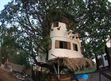 80 साल पुराने आम के पेड़ पर बना दिया 4 मंजिला घर, देखिए चौंका देने वाली तस्वीरें 