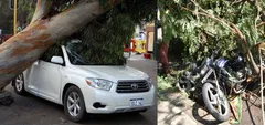 कार-बाइक पर पेड़ गिरने या बारिश से नुकसान होने पर भी मिलता है पैसा, ऐसे करें क्लेम
