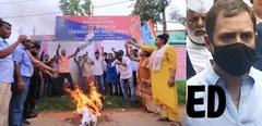 Congress ने अगरतला में ED कार्यालय का घेराव किया, राहुल गांधी के समर्थन में पीएम मोदी का पुतला फूंका
