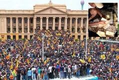 श्रीलंका में प्रदर्शनकारियों को राष्ट्रपति भवन से मिले एक करोड़ से अधिक रुपए, किया गया पुलिस के हवाले



