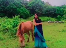 लड़की को Reels बनाना पड़ गया भारी, घोड़े ने कर दी ऐसी हरकत, देखें वीडियो