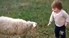 भेड़ और इंसान के बच्चे ने जमकर की मस्ती, उछलते-कूदते आए नजर, वीडियो वायरल



