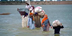 पाकिस्तान में बाढ़ के बीच मौत का तांडव जारी, इतने और लोगों की मौत 