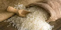 मोदी सरकार के इस फैसले से सस्ता हो गया अनाज, चावल की कीमतों में आई इतनी बड़ी गिरावट