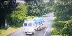 काजीरंगा राष्ट्रीय उद्यान में तेज रफ्तार ट्रक ने गैंडे को टक्कर मारी, ड्राइवर पर जुर्माना