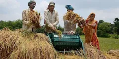 किसानों को व्यवसाय के लिए सरकार दे रही 3 लाख रुपये, जानिए कैसे उठाएं फायदा