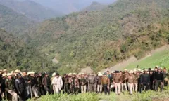 सेनापति में ग्राम प्रधान समेत 8 अफीम किसान गिरफ्तार, 60 एकड़ में खड़े अफीम के पौधों को नष्ट किया गया 

