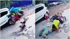 बच्चे को स्कूटी पर स्कूल छोड़ने जा रही थी मां, पीछे पड़ गए आवारा कुत्ते, यहां देखिए खतरनाक घटना का VIDEO