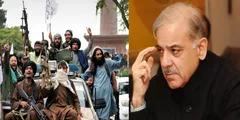 तालिबान की पाकिस्तान को सीधी चेतावनी! कश्मीर को लेकर कही इतनी बड़ी बात