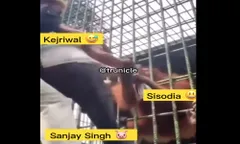 जेल में मिलने गए केजरीवाल को सिसोदिया ने कपड़े पकड़ कर खींचा, संजय सिंह ने बचाया! वीडियो वायरल