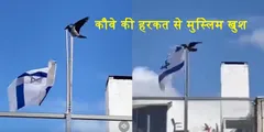 इस कौवे की हरकत देख खुश हुए पूरी दुनिया के मुसलमान, वीडियो में देखें ऐसा क्या किया