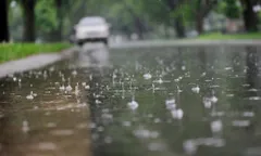 असम, मेघालय, नागालैंड, मणिपुर, मिजोरम, अरुणाचल और त्रिपुरा में भारी बारिश की चेतावनी 
