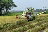 कृषि मंत्री तोमर ने मिजोरम किसान उत्पादक कंपनियों को किया सम्मानित 



