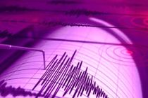 असम में भूकंप के झटके, रिक्टर स्केल पर 3.7 रही तीव्रता



