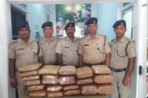 त्रिपुरा पुलिस के ड्रग्स वॉर में दो तस्करी को किया अरेस्ट, 12 किलो गांजा और 50 बोतल फेनसिडाइल जब्त