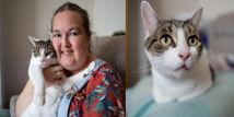 नींद में महिला को आया हार्ट अटैक, बिल्ली ने CPR देकर बचाई जान