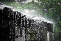 अरुणाचल समेत कई राज्यों में गरज के साथ पड़े छींटे, मौसम विभाग ने जारी की चेतावनी