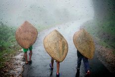 पूर्वोत्तर भारत में दर्ज की गई असमान बारिश