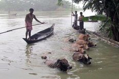 असम में बाढ़ का कहर जारी, नहीं रुक रहा मौतों का सिलसिला
