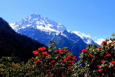 देखना है धरती पर स्वर्ग तो जाइये सिक्किम की इन 10 जगहों पर 
