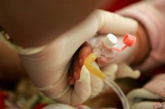 ब्रेकिंग न्यूज़ : सरकारी अस्पताल में 24 घंटे के दौरान छह नवजात शिशुओं की मौत