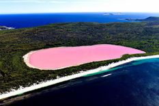 एक अनोखी झील जिसका पानी गुलाबी है,  पर्यटकों को अपनी ओर आकर्षित करती है यहां की सुंदरता 