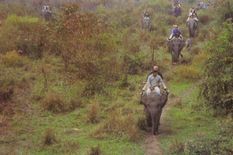 काजीरंगा ही नहीं असम में है एक और शानदार नेशनल पार्क