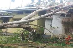 चुनावी सरगर्मियों के बीच आम्पाति में तूफान ने मचार्इ तबाही 