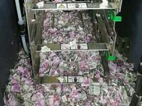 12 लाख रुपए के नोट कुतर गए चूहे, बैंक अधिकारियों के उड़ गए होश, देखें तस्वीर