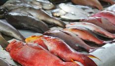 मछली खाने से पहले एक बार सोच लें , कहीं उसमे खतरनाक रसायन तो नहीं 
