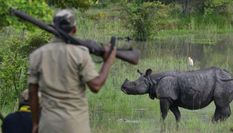 काजीरंगा में गैंडे के शिकार की कोशिश, 3 गिरफ्तार, हथियार भी बरामद