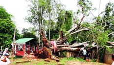 असम में तूफान से तबाही, कई स्थानों पर बिजली आपूर्ति बाधित