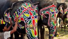 पीएम मोदी के गुजरात में हाथियों को भेजने पर घिर रही है भाजपा, अब हुआ ऐसा काम