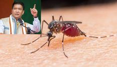 जल्द मलेरिया मुक्त हो रहा भारत का ये राज्य, 2 साल में एक भी मृत्यु नहीं